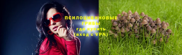 стафф Армянск