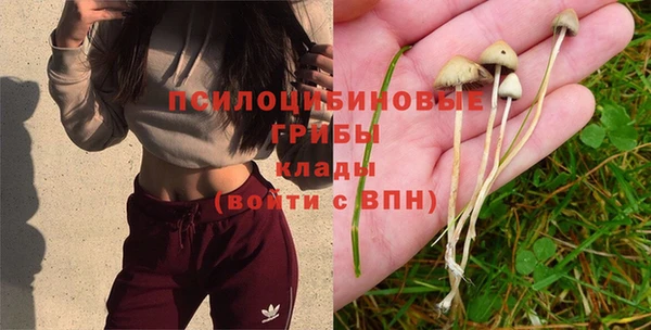 прущие крисы Аркадак