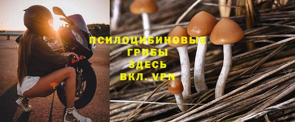 меф Арсеньев