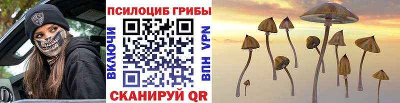 Купить где  Серпухов  Галлюциногенные грибы Cubensis 